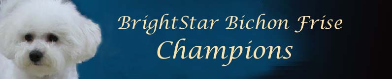 BrightStar Champions